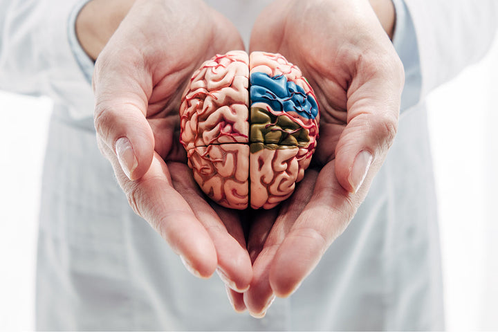 Understanding Concussions: Causes, Symptoms, and Recovery