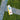 PCS Core image 3